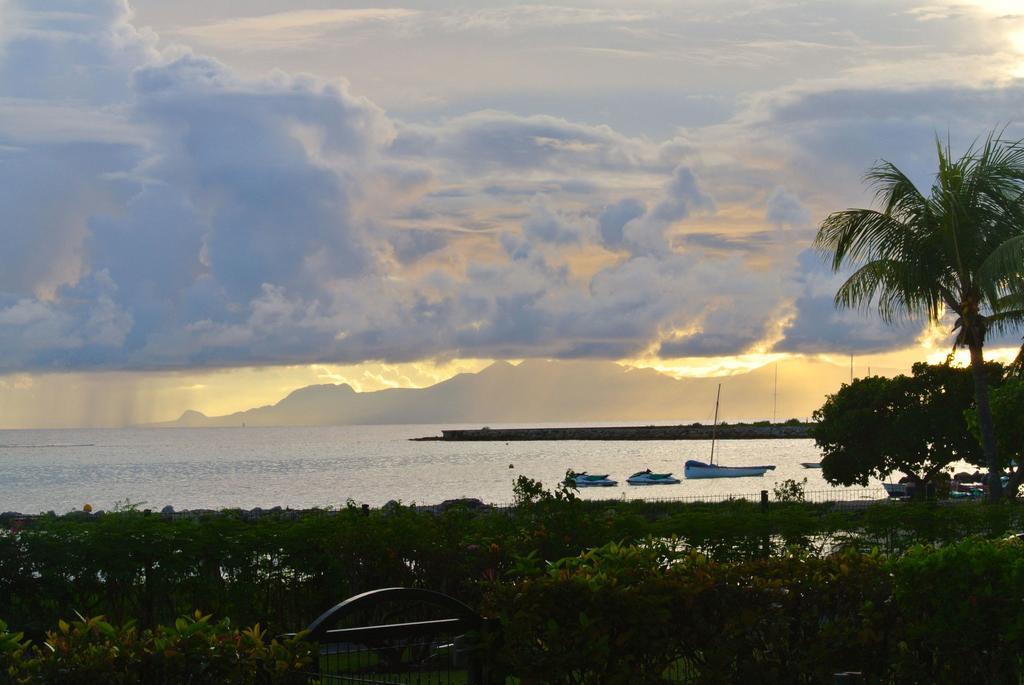 Savannah Guadeloupe Saint-Francois  Exteriér fotografie