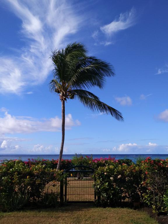 Savannah Guadeloupe Saint-Francois  Exteriér fotografie